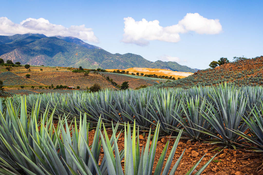 Home Page | DFS | Hawaii